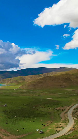 航拍西藏羊卓雍措羊湖航拍羊湖56秒视频