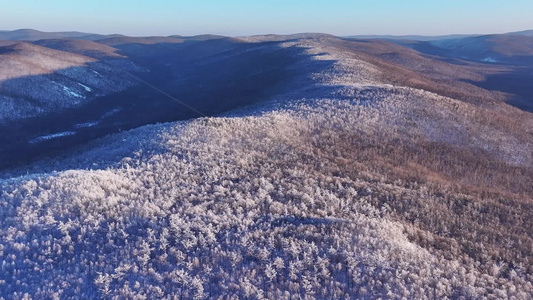 航拍大兴安岭林海雪原雾凇红柳树景象视频素材视频