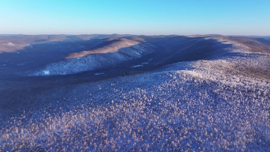 航拍大兴安岭林海雪原雾凇红柳树景象视频素材视频