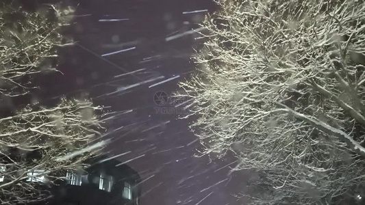 夜晚风雪交加视频