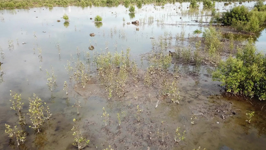 BatuKawan红树地区附近的干旱土地视频