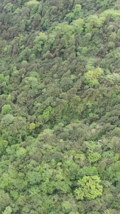 航拍自然风光高山峡谷森林 视频