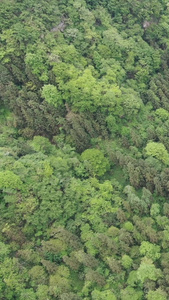 航拍自然风光高山峡谷森林 视频