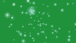 白雪花花和六颗恒星六分枝刺翼落于绿屏上圣诞节节绿色20秒视频