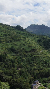 航拍自然风光高山峡谷森林  视频