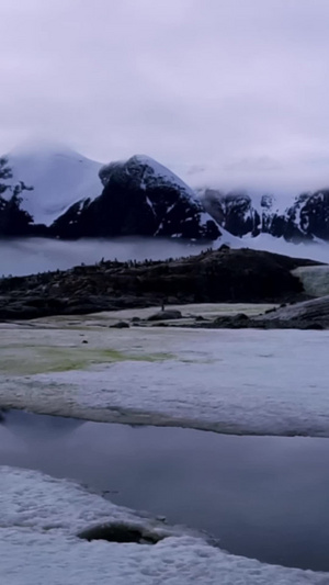 南极大陆风光冰雪消融10秒视频