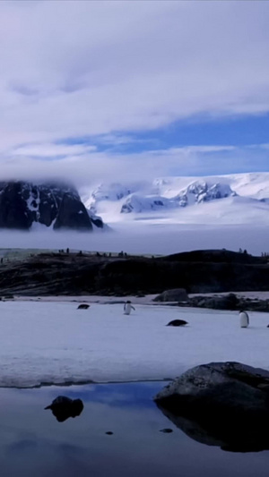 南极大陆风光南极旅游10秒视频