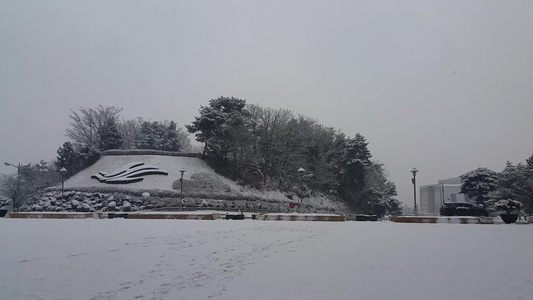 冬季在公园中看到地面和树上积雪的情况视频