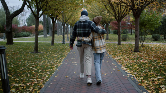 年轻快乐的情侣在秋天公园漫步视频