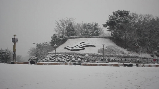 冬季在公园中看到地面和树上积雪的情况视频