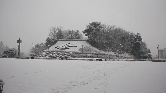 冬季在公园中看到地面和树上积雪的情况视频