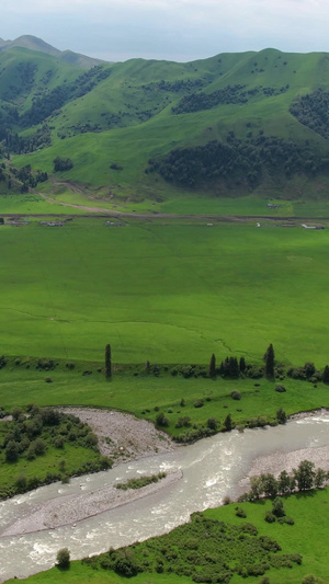 新疆伊犁唐布拉草原山脉河流风光航拍视频天山山脉49秒视频