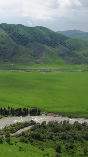 新疆伊犁唐布拉草原山脉河流风光航拍视频天山山脉49秒视频