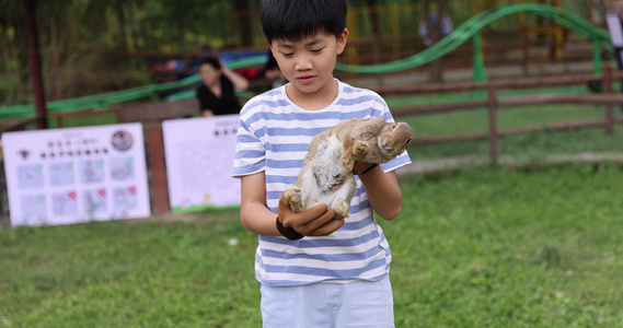 男孩抱着兔子 萌宠乐园视频