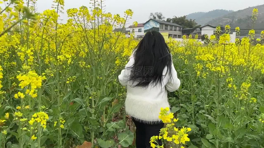 油菜花中奔跑的女孩视频