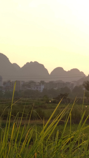 初秋夕阳下看日落的母女欣赏美景43秒视频