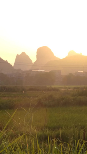 初秋夕阳下看日落的母女欣赏美景43秒视频