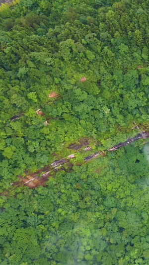 风景重庆四面山望乡台瀑布大自然77秒视频