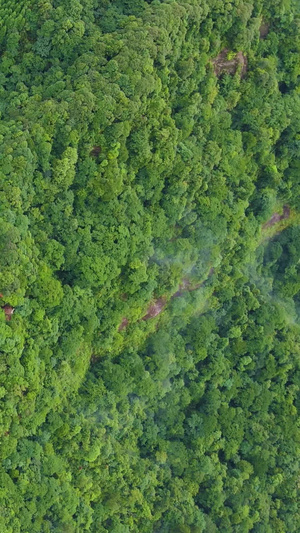 风景重庆四面山望乡台瀑布飞流直下三千尺77秒视频