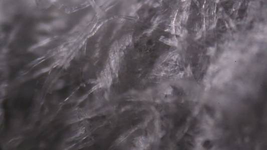 显微镜下的组织组织纸纤维视频