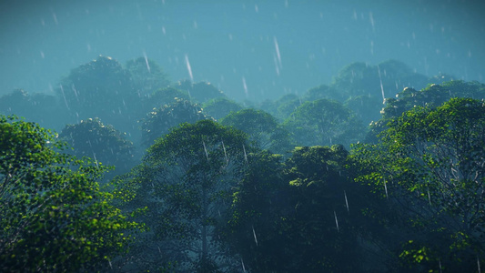 雨中森林三维风光背景视频