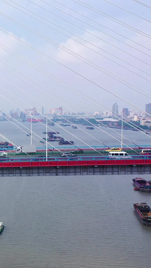 航拍上海杨浦大桥黄埔江99秒视频