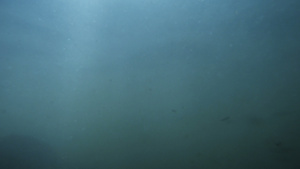 水下海景景观自然光线19秒视频