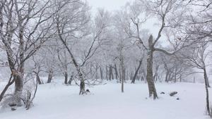 4k航拍冰天雪地树木雾凇下雪风景23秒视频