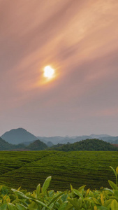 延时茶山日落夕阳视频