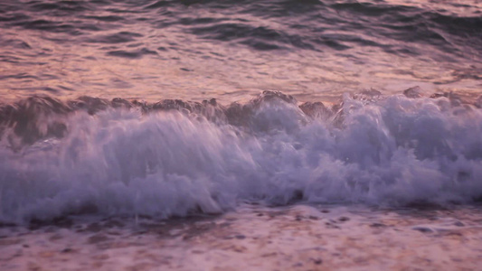 海海视频