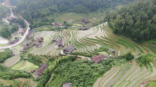 航拍农业种植梯田风光视频