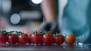 工厂番茄盒包装工艺工人手分拣红色有机食品特写27秒视频