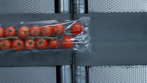 工厂番茄盒包装工艺流水线16秒视频
