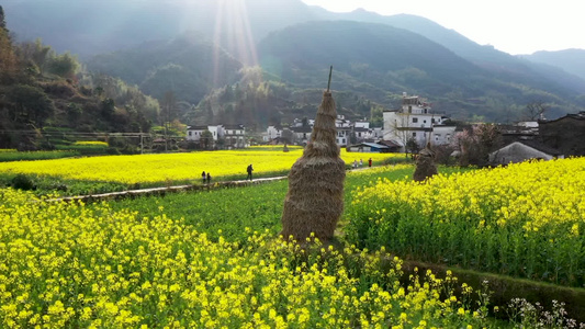 婺源庆源古村春季油菜花航拍视频