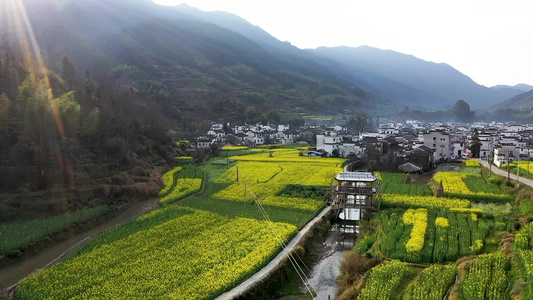 婺源庆源古村春季油菜花航拍视频