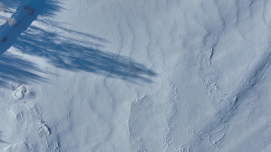 冬天寒冬雪地素材视频