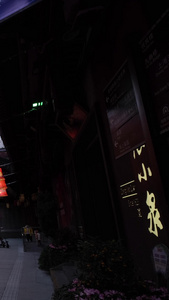上海元宵灯会灯笼【该视频无肖像权，无彩灯造型物权，请勿商用】中国年视频