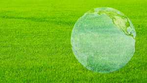 世界地图在绿地拯救环境生态植树造林气候变化概念等绿色20秒视频