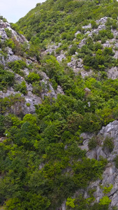 4A风景区三衢石林航拍合集三衢山视频