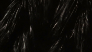 显微镜下的黑尼龙网布纤维16秒视频
