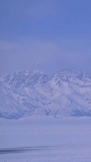 鸟在冰天雪地中飞翔5秒视频