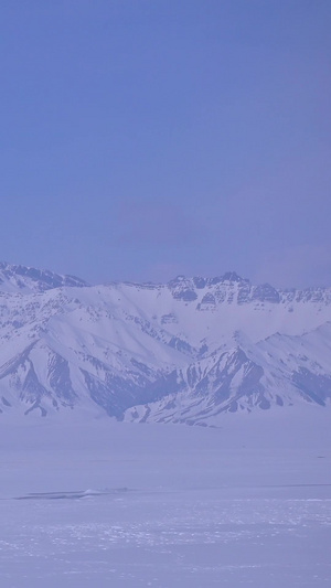 鸟在冰天雪地中飞翔5秒视频