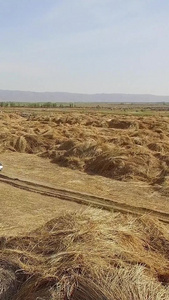 航拍草原上驾驶草原公路视频