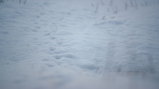 白雪躺在田野地面上视频