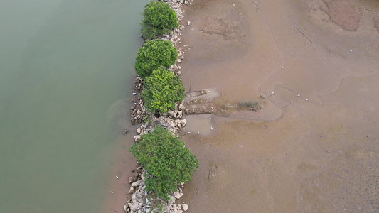 航拍河岸湿地视频