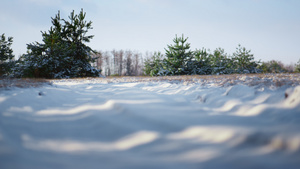 美结冰雪晴朗的冬日6秒视频