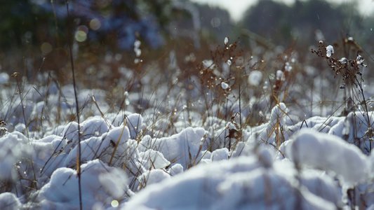 干草覆盖在柔和的冬日阳光下的白霜视频