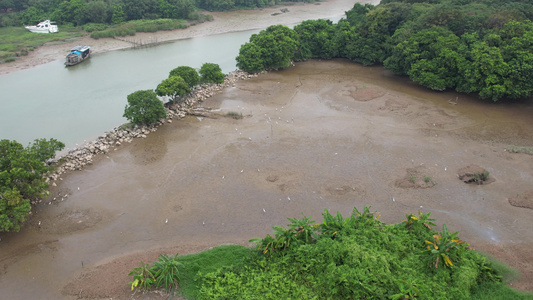 河流滩涂航拍视频