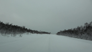 在暴风雪中21秒视频