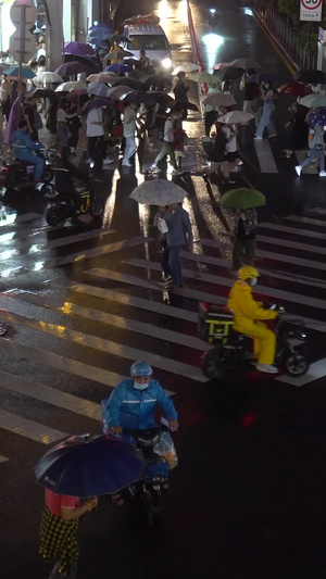 实拍雨夜斑马线上的行人合集54秒视频